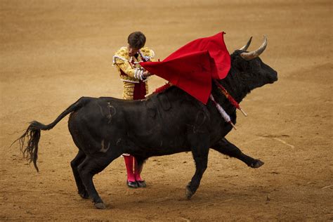 APphoto_Spain Bullfight