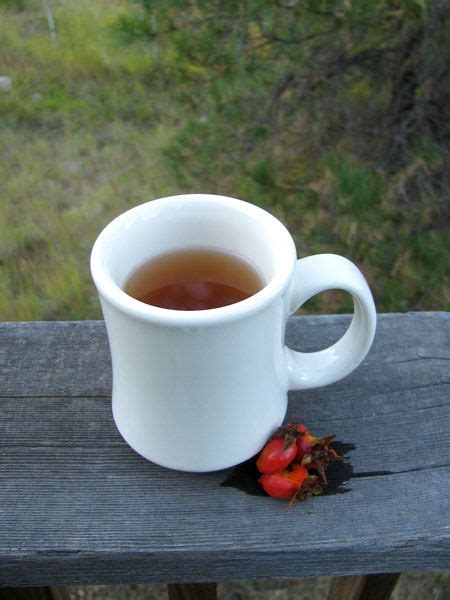 rose-hip-tea-recipe (With images) | Rosehip recipes, Rosehip tea, Tea recipes