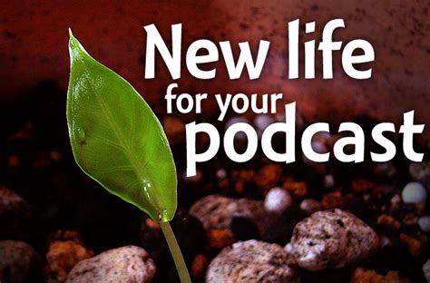 7 free and easy ways to give your podcast new life - The Audacity to Podcast