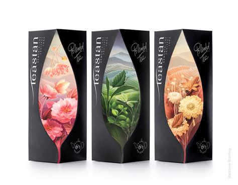 Backbone Branding Creates Packaging Design for Teastan Tea - World ...