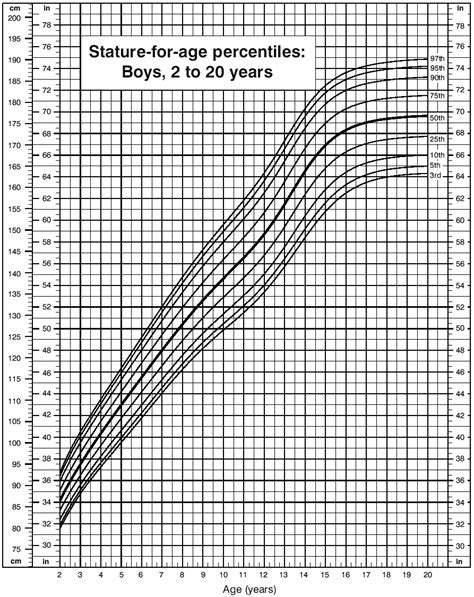 File:Male Growth Chart.PNG