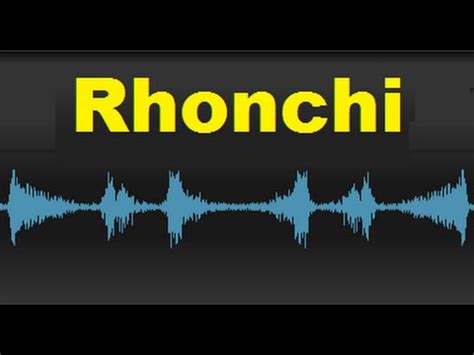 Rhonchi | Breath Sounds - YouTube