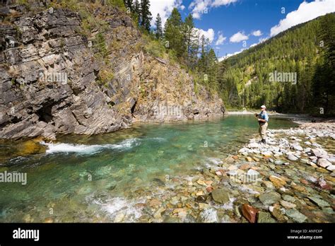 Fly-fishing on tributary of Elk River near Fernie, Elk Valley, East ...