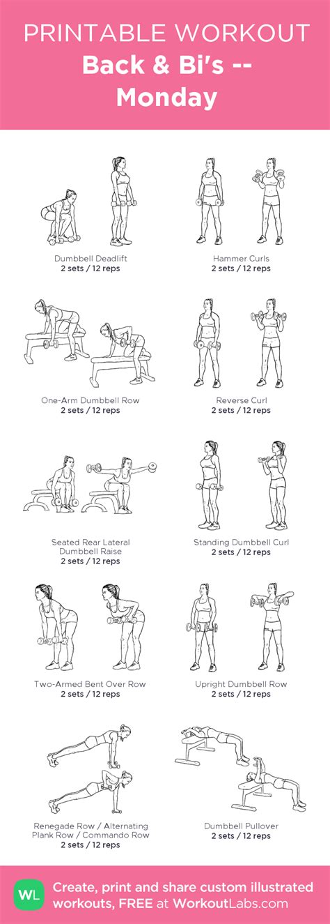 Back & Bi's -- Monday: my visual workout created at WorkoutLabs.com • Click through to customize ...