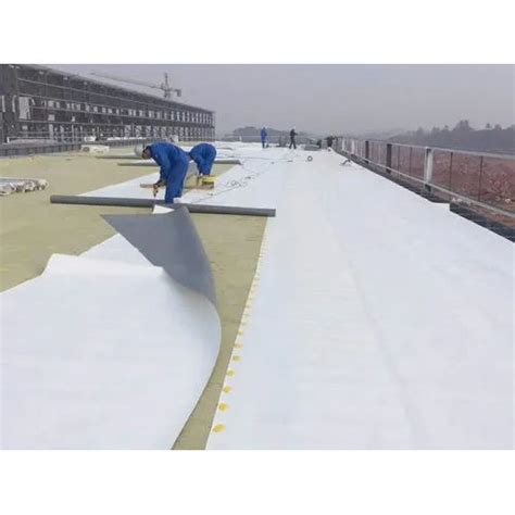 White Roof Waterproofing Membrane at Best Price in Ghaziabad | Building ...