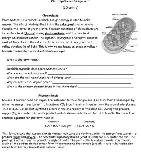 Solved Chloroplasts Photosynthesis is a process in which | Chegg.com