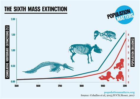 Mass Extinction 2024 - Cordy Dominga