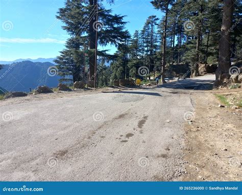 Beautiful Landscape View of Patnitop on a Sunny Morning Stock Photo ...