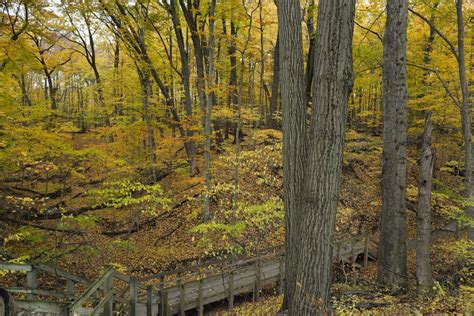 Indiana Dunes State Park | Drive The Nation