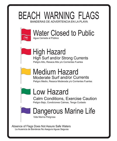 Beach Safety | Dania Beach, Florida