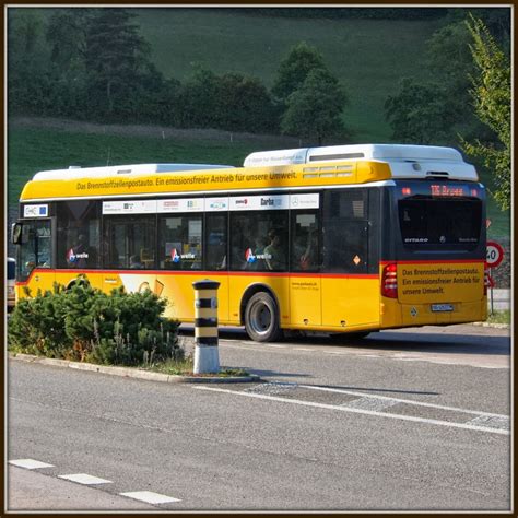 Based in Villigen: Fuel cell bus