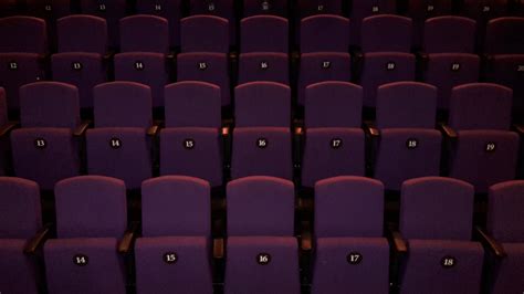 Stag Theatre Seating Case Study | Ferco