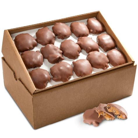 Amazon.com : Premium Candy (Chocolate Turtle 5 Pound Bulk) : Grocery & Gourmet Food