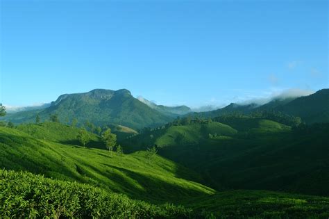 Munnar Kerala India - Free photo on Pixabay