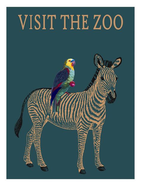 Zebra Zoo Poster Free Stock Photo - Public Domain Pictures