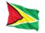 Flag icons of the Guyana