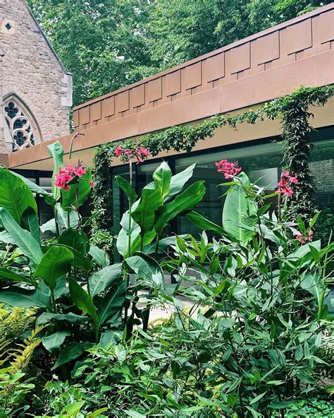 Garden Museum London: Green-Fingered Oasis Inside An Old Church