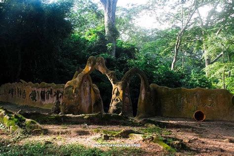 Visit To The Osun Osogbo Sacred Grove In Osun State - Travel - Nigeria