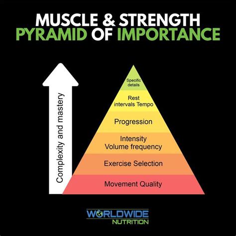 Muscle & Strength Pyramid Of Importance. - The pyramid works well in ...