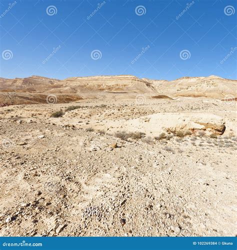 Landscape of the Desert in Israel Stock Photo - Image of country ...