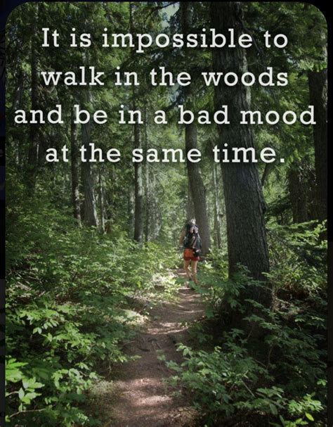 Pin by My View From The Porch on Feelin' GOOD! | John muir quotes, Adventure quotes, Into the ...