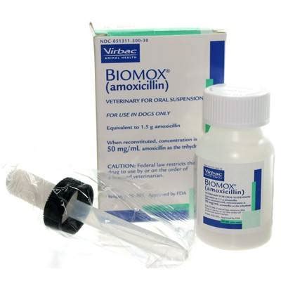 Amoxicillin For Dogs