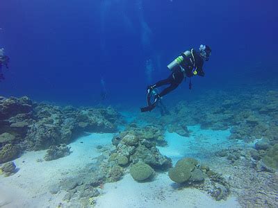 Royalty-Free photo: Person diving under the water | PickPik