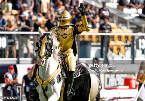 342 Ucf Mascot Stock Photos, High-Res Pictures, and Images - Getty Images