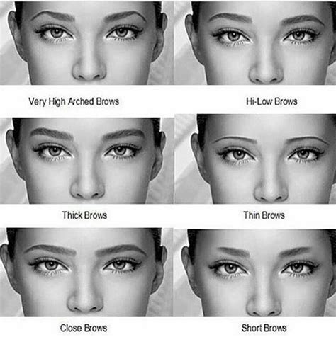 Pin by Tisha Prime on eyes | Types of eyebrows, Different eyebrow shapes, Eyebrow shape