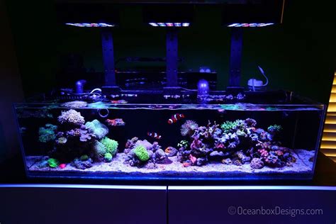 12G Long Nano Reef - Tank Crash & Recovery!! - Nano Reef Journals ...