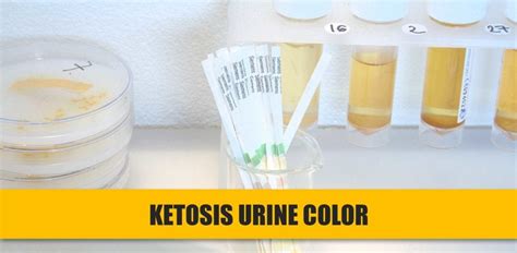 does your urine smell different when you re in ketosis Urine color ...