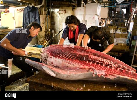 Tsukiji Fish Market Tuna – newstempo