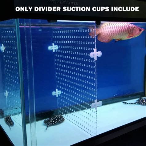 Aquarium Acrylic Divider Full Holes With 4pcs Suction Cup Free For ...