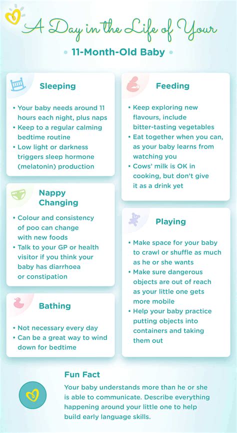 11-Month-Old Baby - Development, Milestones & More | Pampers