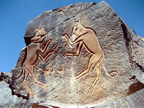 Saharan Rock Carving of Two Cats Fighting (Illustration) - World ...