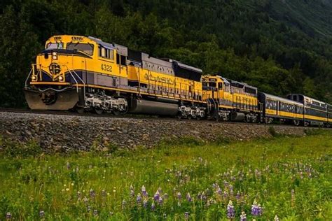 Alaska Railroad Fairbanks to Denali One Way from $70.40 | Cool Destinations 2023