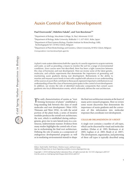 (PDF) Auxin Control of Root Development