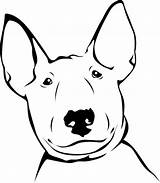 Bull Terrier Coloring Pages sketch template