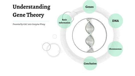 Gene Theory by georgina wang