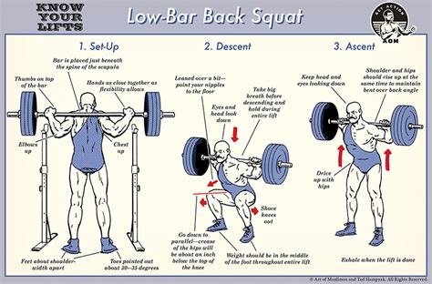 How to Low Bar Squat | Penileclinic.com