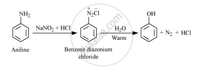 How do you convert the following: Aniline to phenol - Chemistry | Shaalaa.com