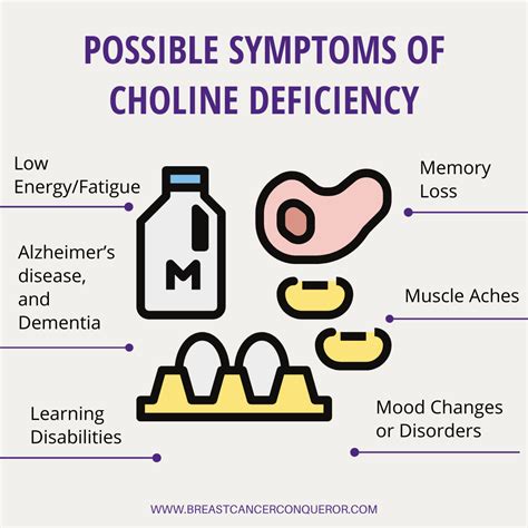 Breast Cancer and Choline: The Down and Dirty - Breast Cancer Conqueror