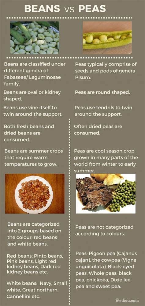 Difference Between Beans and Peas