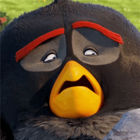 The Angry Birds Movie No GIF by Angry Birds - Find & Share on GIPHY