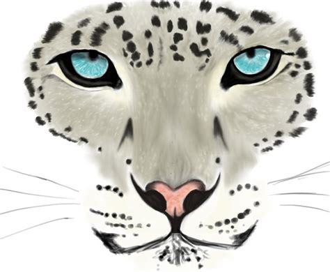 Snow Leopard - Sketch by LightShattered on DeviantArt