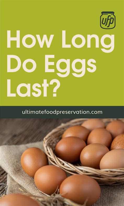 How Long Do Eggs Last? | Farm fresh eggs, Food shelf life, Preserving eggs