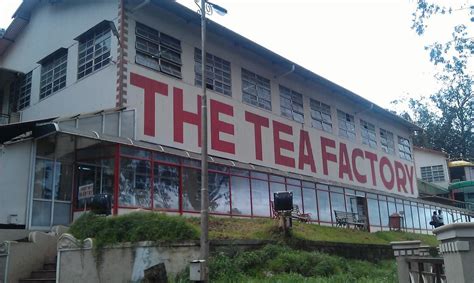 Tea Factory, Ooty, Tamil Nadu, Tourism, 2021 | Museums, Industry, Tea ...