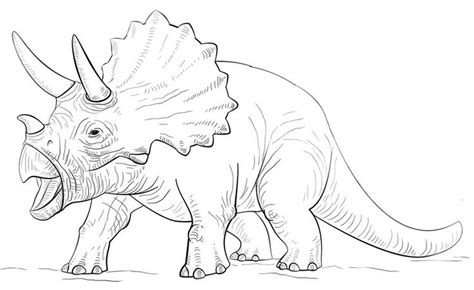 triceratops ausmalbilder #ausmalbilder #triceratops | Dinosaur coloring pages, Dinosaur coloring ...