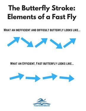 The Butterfly Stroke: Everything You've Ever Wanted to Know | Butterfly stroke, Swimming tips ...