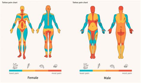 Tattoo Pain - How Bad Do Tattoos Hurt? - What Areas Are The Most And Least Sensitive? - Tattify